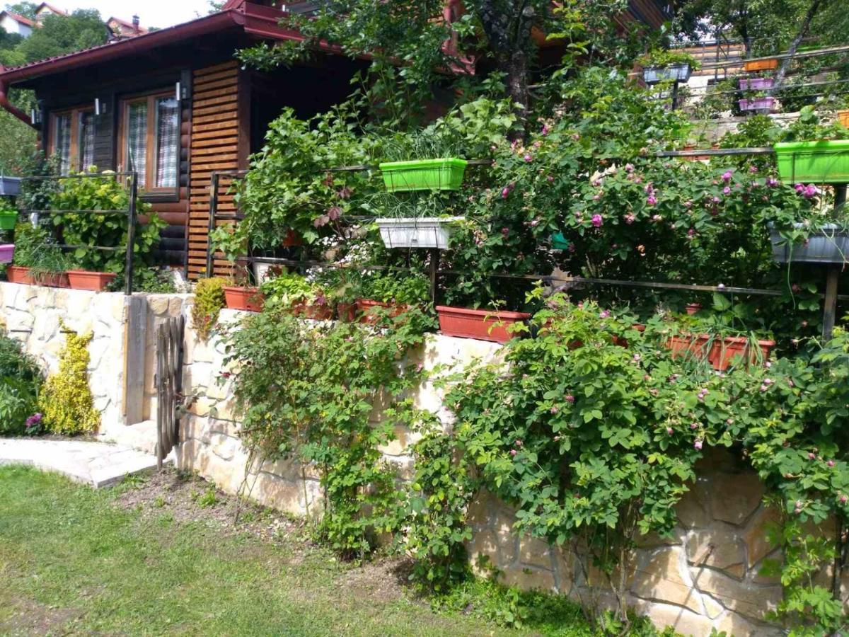 The Bungalows 塞拉耶佛 外观 照片